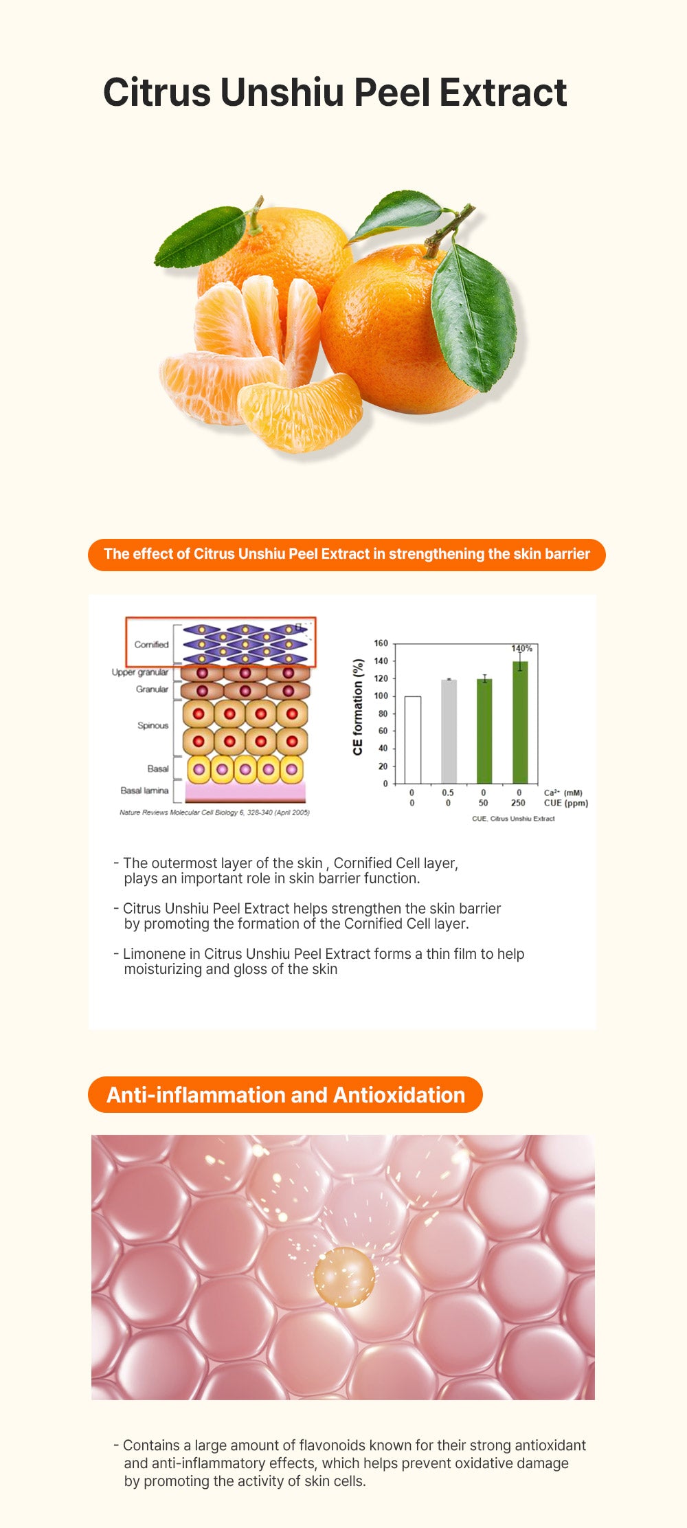 SEASON:ING Citrus Balancing Booster (Tonor) , 200ml